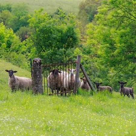 Au Pre Verger LʼArbresle
